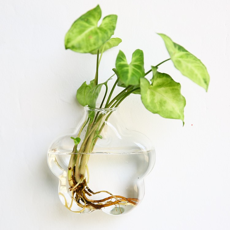 HANGING ECO TERRARIUM LIMITED EDITION DESIGNS