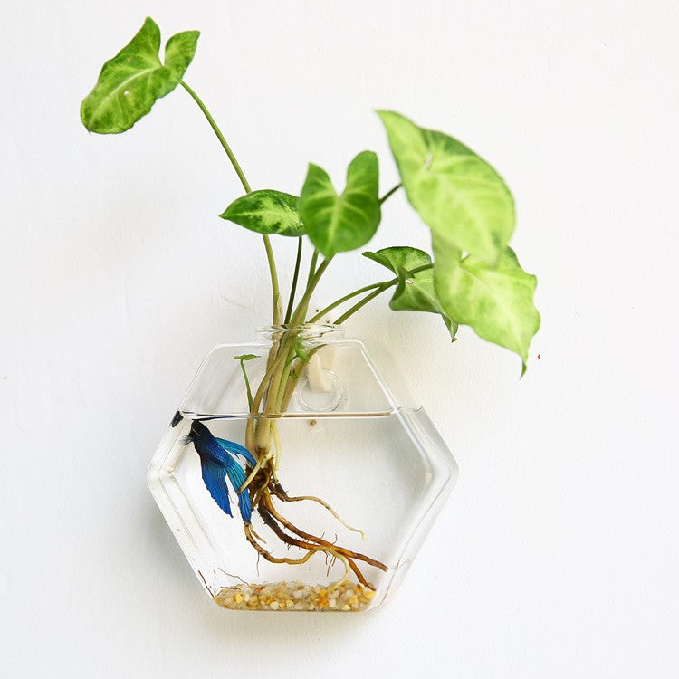HANGING ECO TERRARIUM