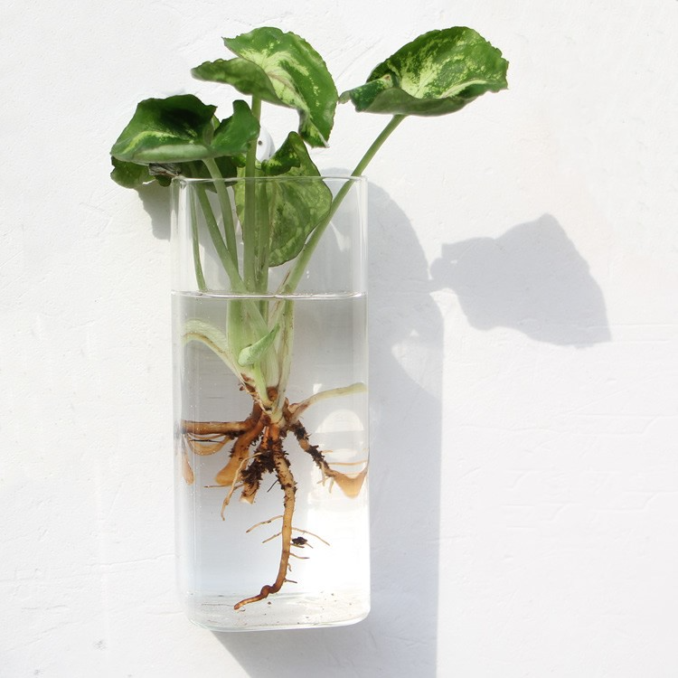 HANGING ECO TERRARIUM LIMITED EDITION DESIGNS