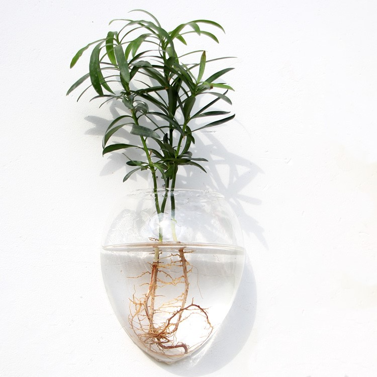 HANGING ECO TERRARIUM LIMITED EDITION DESIGNS