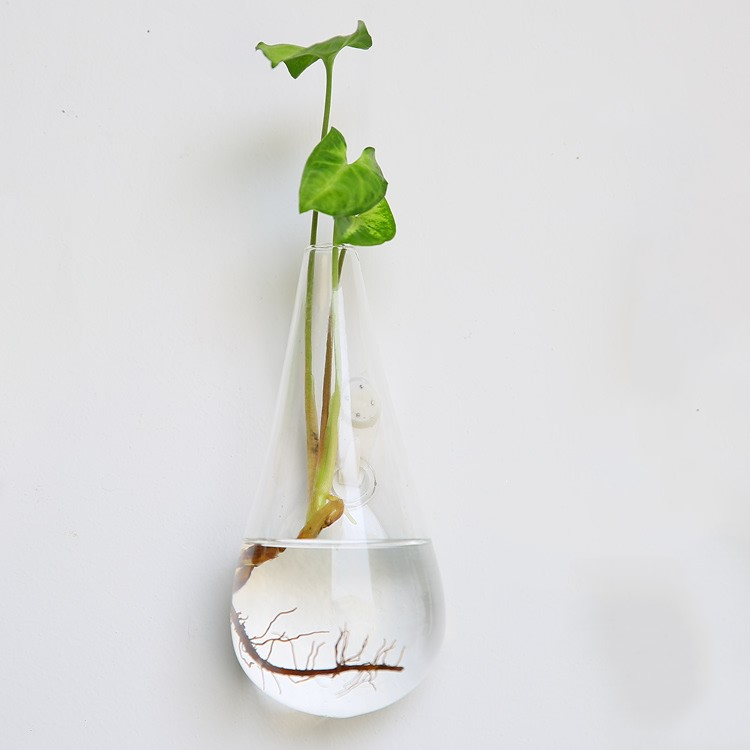 HANGING ECO TERRARIUM LIMITED EDITION DESIGNS